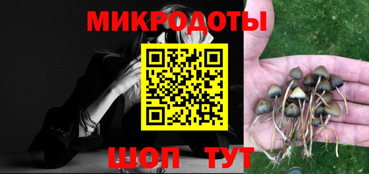 Галлюциногенные грибы прущие грибы  Галлюциногенные грибы Cubensis  Балахна  Вход с VPN 
